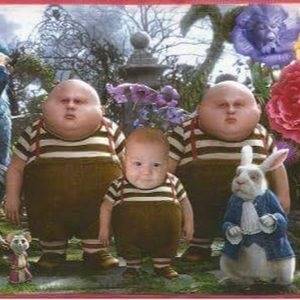 Meet your Posher, Yamil